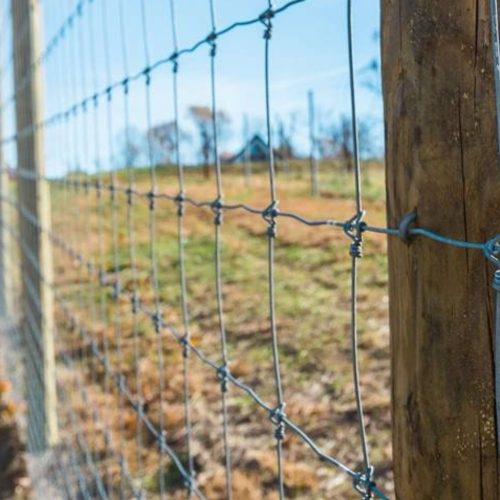 Southern-Gate-and-Fence-field-fences